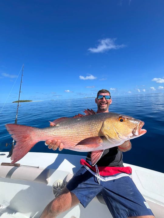 Console central para pesca e mergulho com snorkel em torno de baa, raa e atol de Lhaviyani