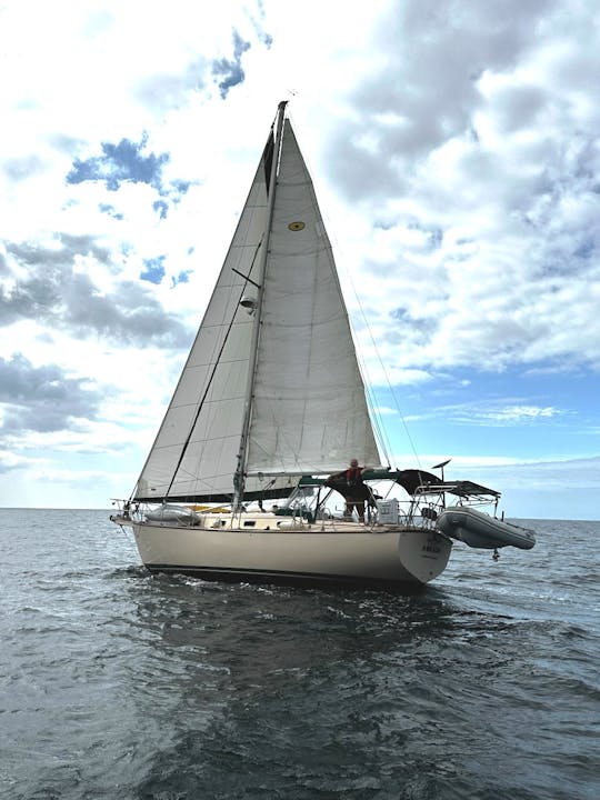 Island Packet Sloop Charter in Oxnard