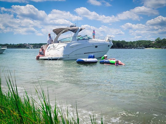 31ft Cabin Cruiser with Captain