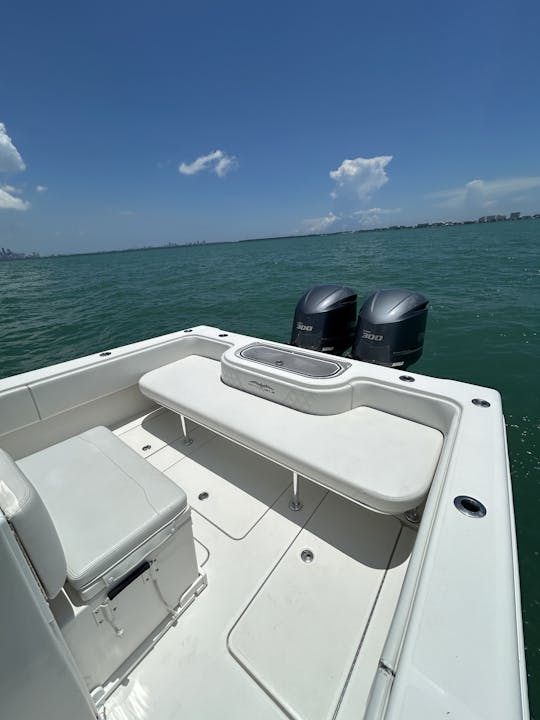 Invincible 33ft Center Console - Fishing, Sandbar, Sight Seeing, Park Tours