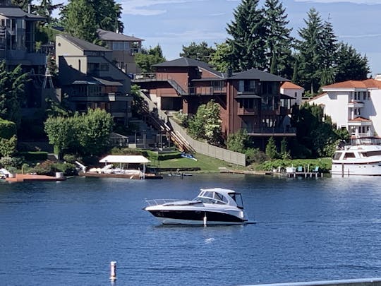 Chaparral 290 Cruiser - Desfrute do belo lago Washington