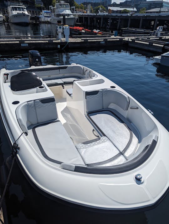 O barco perfeito para desfrutar do Lago Union