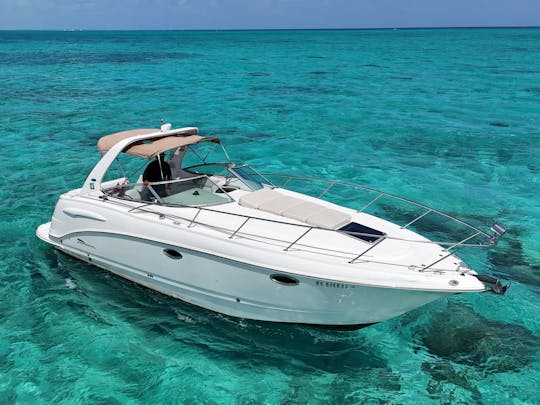 Alquiler de yate Chaparral de 31 pies desde Caimán