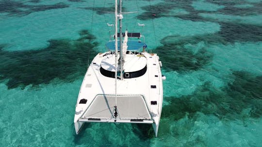 46ft Sailing Catamaran Private Charter / Capacity 45 people