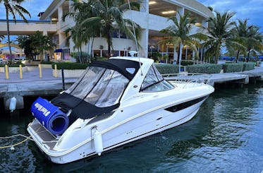 Belo iate Sea Ray 310 Sundancer