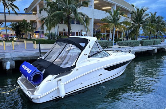 Beautiful Sea Ray 310 Sundancer Yacht