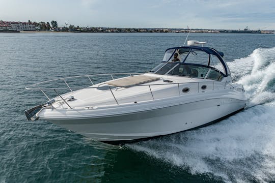 Bay Cruiser Sea Ray de 34 pies 