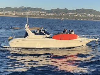 Le yacht Sea Ray 42 Sea Brothers à Cabo San Lucas, au Mexique