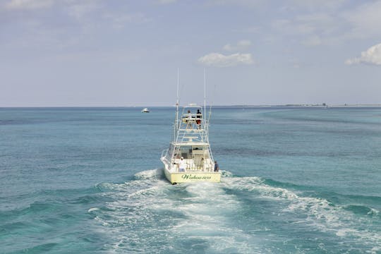 Carta de pesca em alto mar de 6 horas nas Ilhas Turks e Caicos “Wahooter”