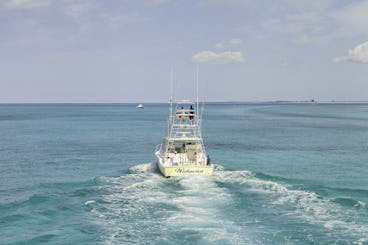 Croisière de pêche en haute mer de 6 h sur les îles Turques et Caïques de « Wahooter »