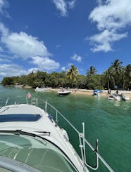 Amazing views of Miami Skyline Swim at Island and spectacular Sanbar