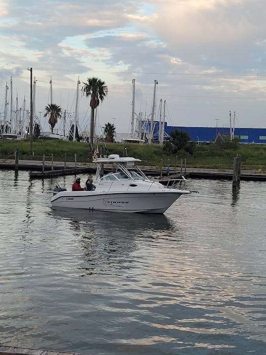 Están vigentes las tarifas semanales fuera de temporada de Let's Cruise and Fish