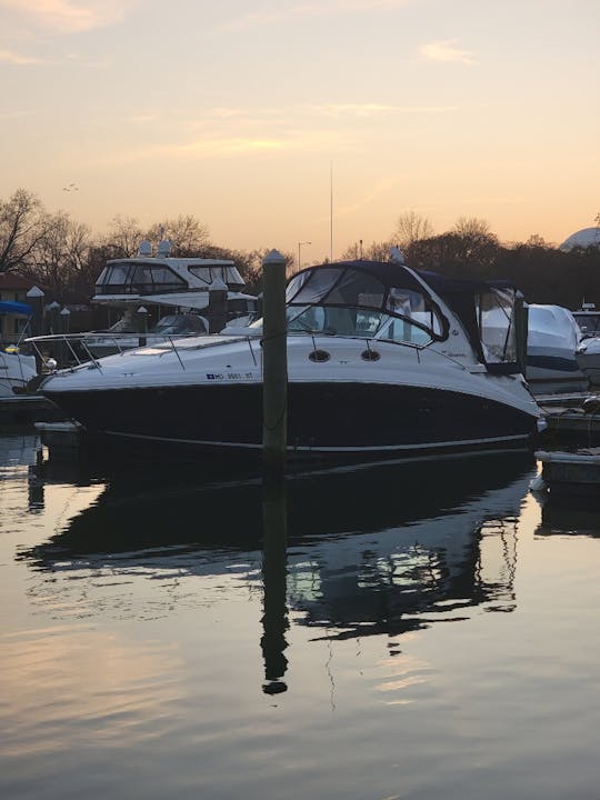 Sea Ray Sundancer 35' Profitez d'un voyage à bord de notre yacht DMV de luxe !