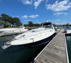 Dançarina de sol Sea Ray de luxo para até 12 pessoas