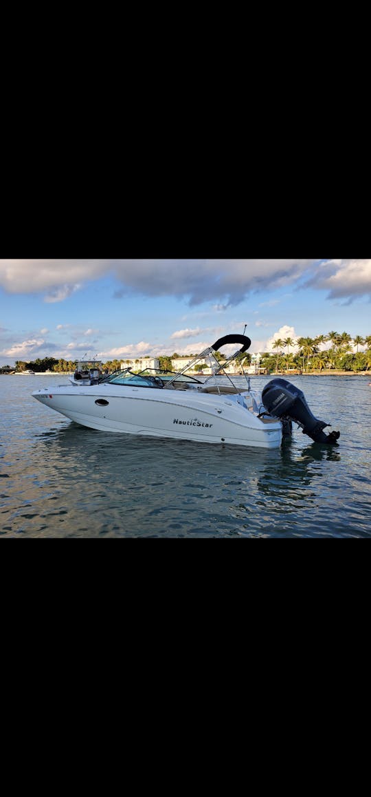 25ft Fully Loaded Spacious! Multi-Day & Weekly Rentals!