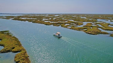 Private Boat Tour in Ria Formosa from Faro