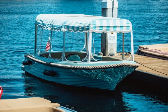 19 Ft Lago Amore Power Boat