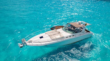 43ft Sea Ray Yacht Private Charter / Capacity 15 people