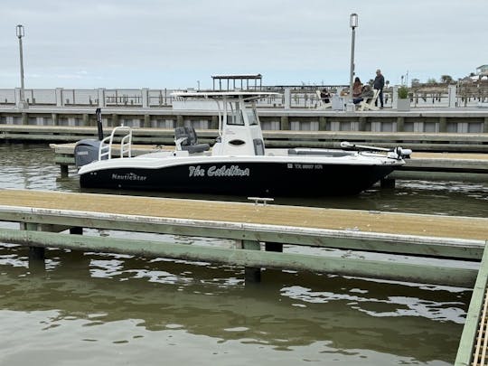 Catalina Day/Sunset Cruises and Dolphin Watch in Galveston and Kemah/Clear Lake.