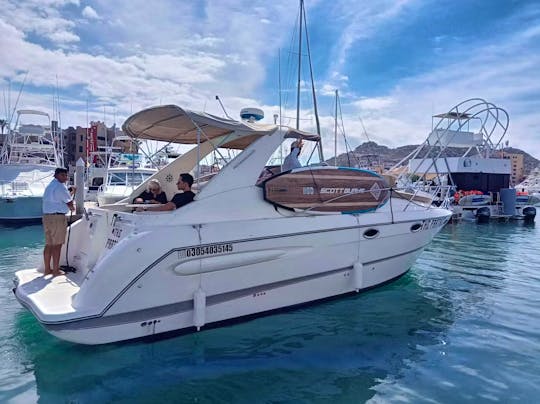 Beautiful Luxury Maxum 33ft Yacht for Charter in Cabo San Lucas