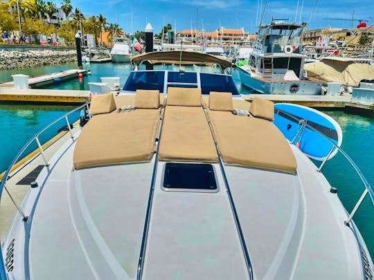 Beautiful sea ray 42Ft ready for you
