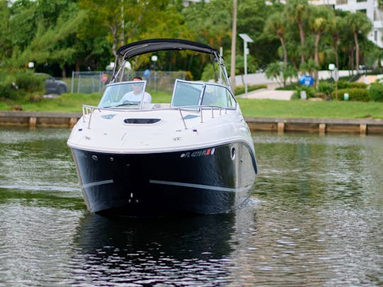 Sea Ray 260 ! Bienvenue dans la jungle !