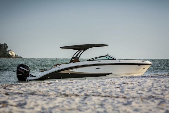 海でのプライベートでユニークな体験レランス諸島-カンヌ-シーボブ