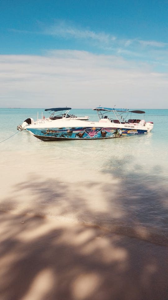 Passeios de barco privados com tudo incluído