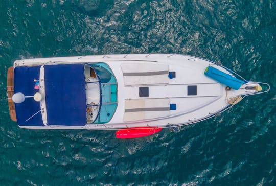 AH CARAY | Le magnifique yacht Sea Ray de 42 pieds pour une croisière d'une journée en PV.