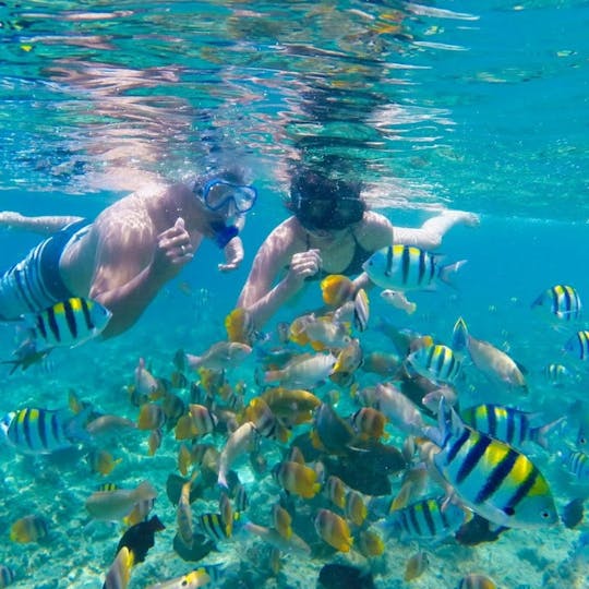 3 spot poin Snorkeling with manta rays