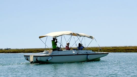 Algarve Eco Boat Trip in Ria Formosa from Faro