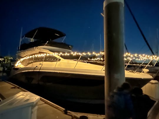 40' Luxury Yacht Charter - Christmas Light Viewing
