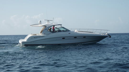 Sea ray 42 in Country House