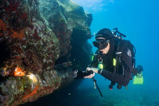 Funchal: Experimente o mergulho