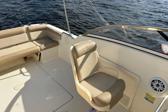 210 ドラドスカウト—用途が広く、スタイリッシュ、そしてすぐに冒険に出かけられる