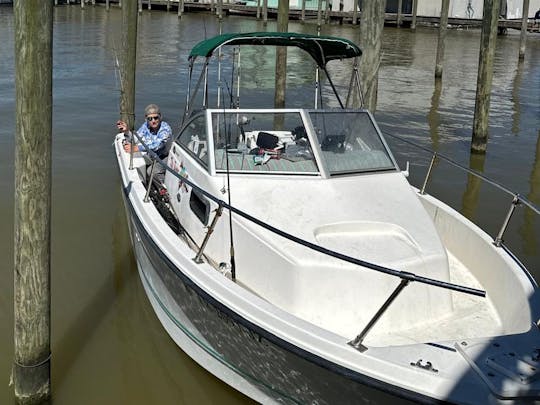 Trophy 1802 Bay Boat seats 5 passengers / $80 a hour