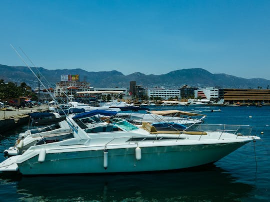 Superbe yacht à moteur Sea Ray de 42 pieds