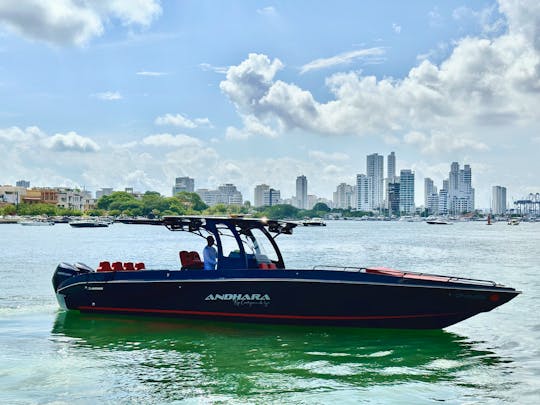 Rent a Exclusive Private Boat 38FT For 15 People in Cartagena