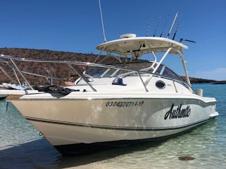 Scout 260 Sportfish Boat|Sua melhor lancha para uma experiência única em La Paz 