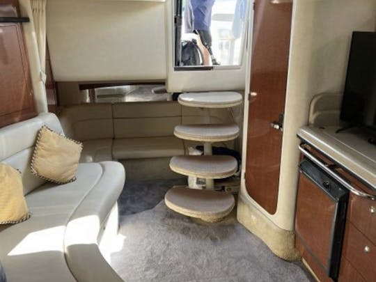 Sea Ray 320 in Downtown Tampa for up to 10 People