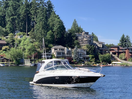 Chaparral 290 Cruiser - Desfrute do belo lago Washington