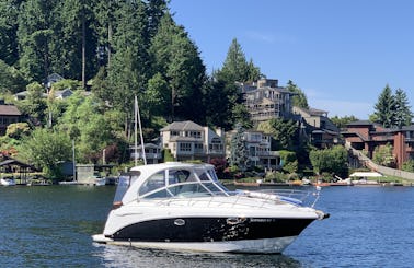 Chaparral 290 Cruiser - Enjoy Beautiful Lake Washington