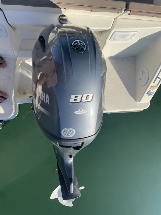 Lancha rápida Quicksilver 505 Open de 80 CV en Cascais, Lisboa