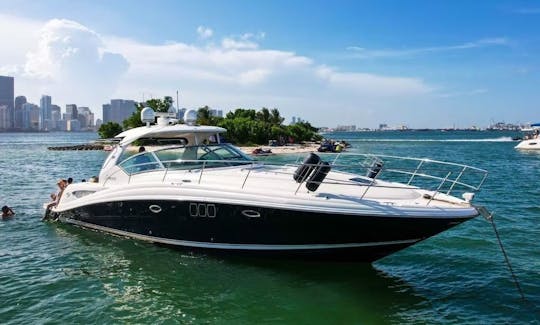 Enjoy Miami In Sea Ray Sundancer 46ft Motor Yacht!