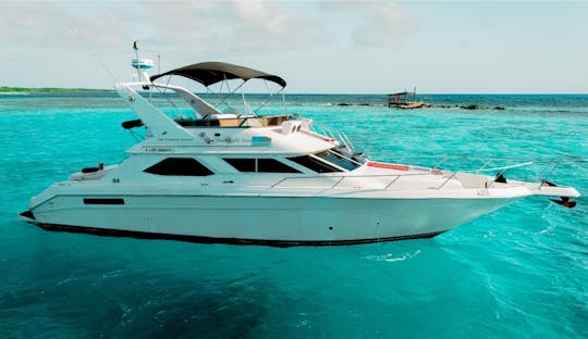 The Midnight Sun,  Affordable Luxury  motor yacht 