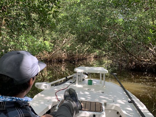 Naples Tour Private Beaches and Mangrove Tunnels