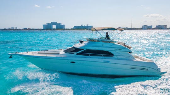 Sea Ray Flybridge 51 ft Cancun, Quintana Roo