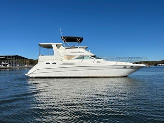 Sea Ray Luxury Yacht Rental