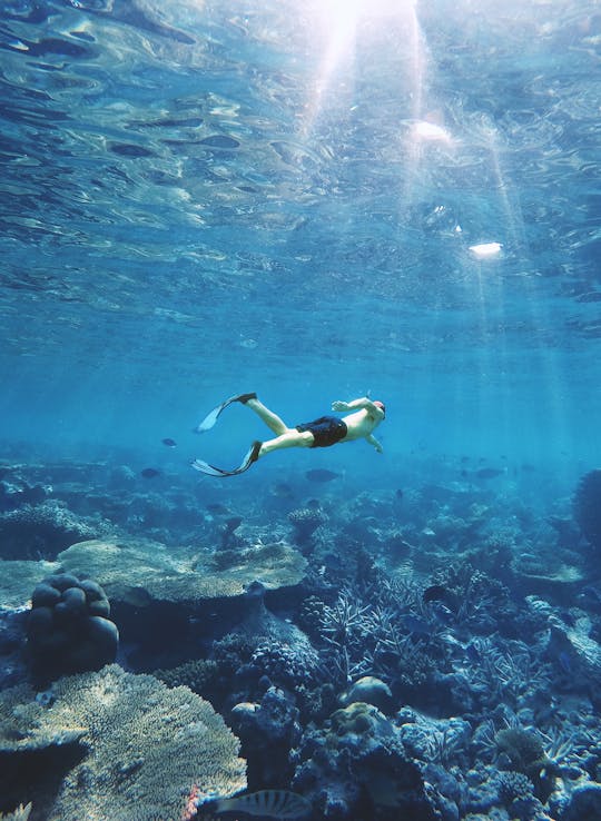 Snorkeling in Port City, Sri Lanka