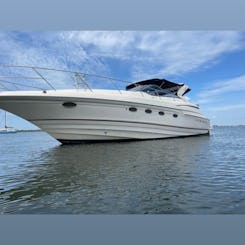  O melhor em St. Pete 4160 Regal Yacht 